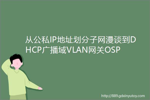 从公私IP地址划分子网漫谈到DHCP广播域VLAN网关OSPF